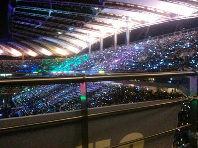 Fanlights during T-ARA's stage