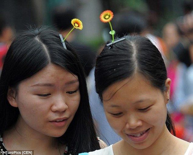 bean sprout hair pins