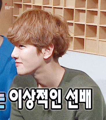 GIF of EXO's Baekhyun slyly nodding and sharing another smirk on MBC's Infinite Challenge September 17, 2016 episode / Pann