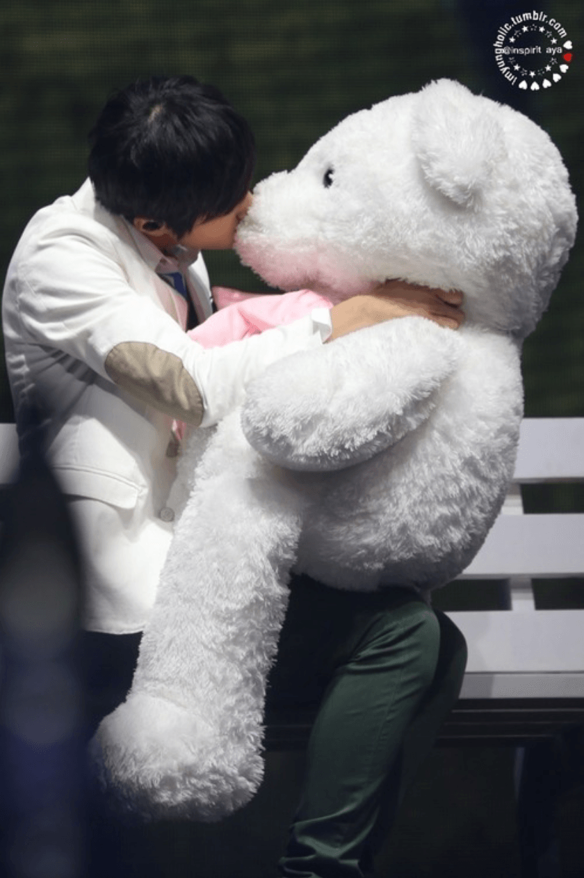 teddy bear jungkook