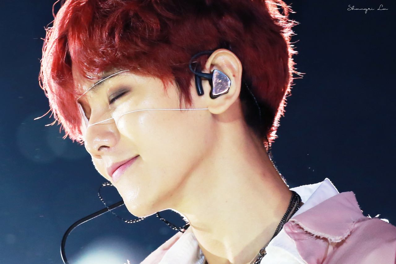 Baekhyun smiled as he listened the fans' cheers and screams. 