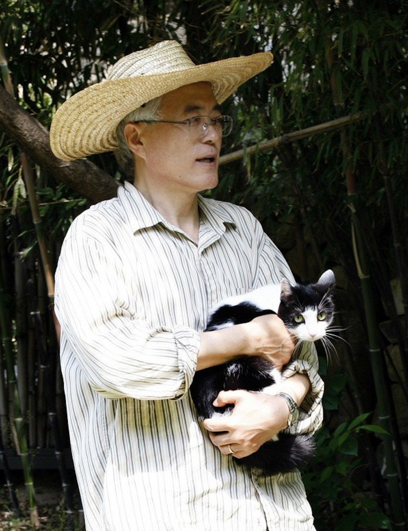 Meet "Cry Baby", a stray cat who became the First Cat of Korea - Koreaboo