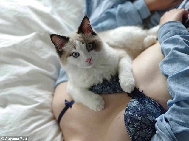 Kitten Boobs