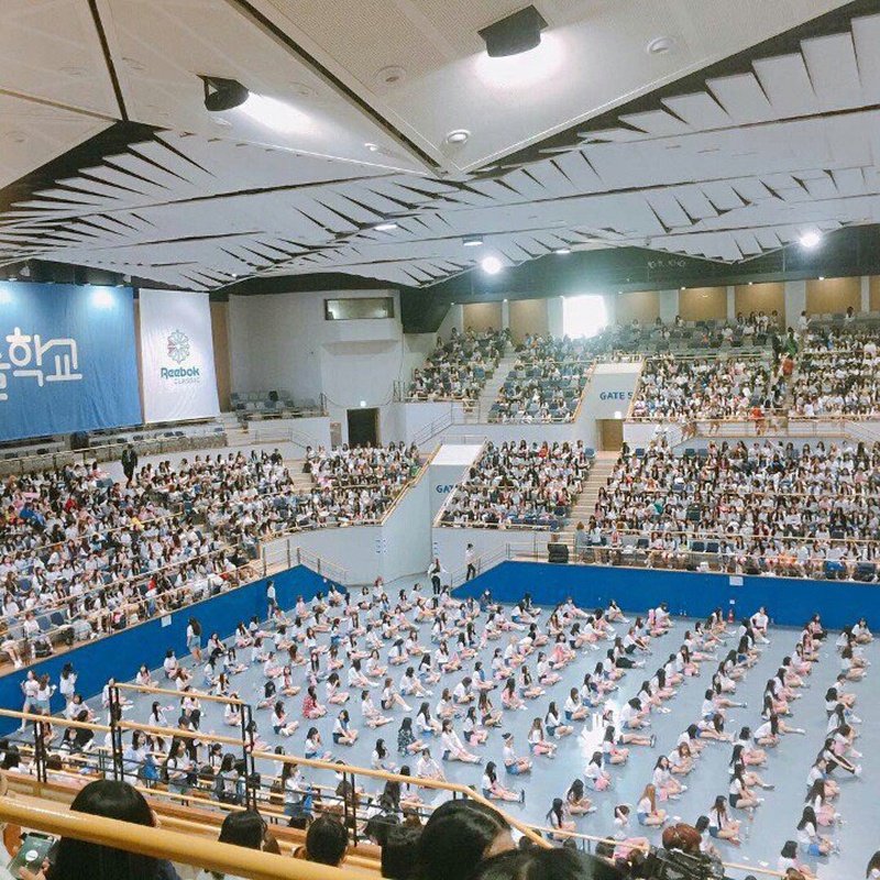 reebok idol school