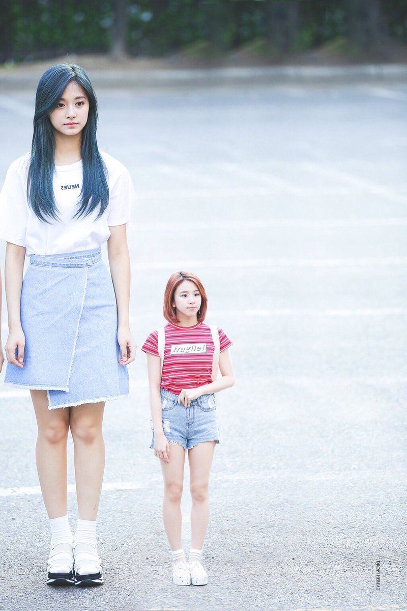 Chaeyoung Is The Smolest K-Pop Idol Of Them All - Koreaboo