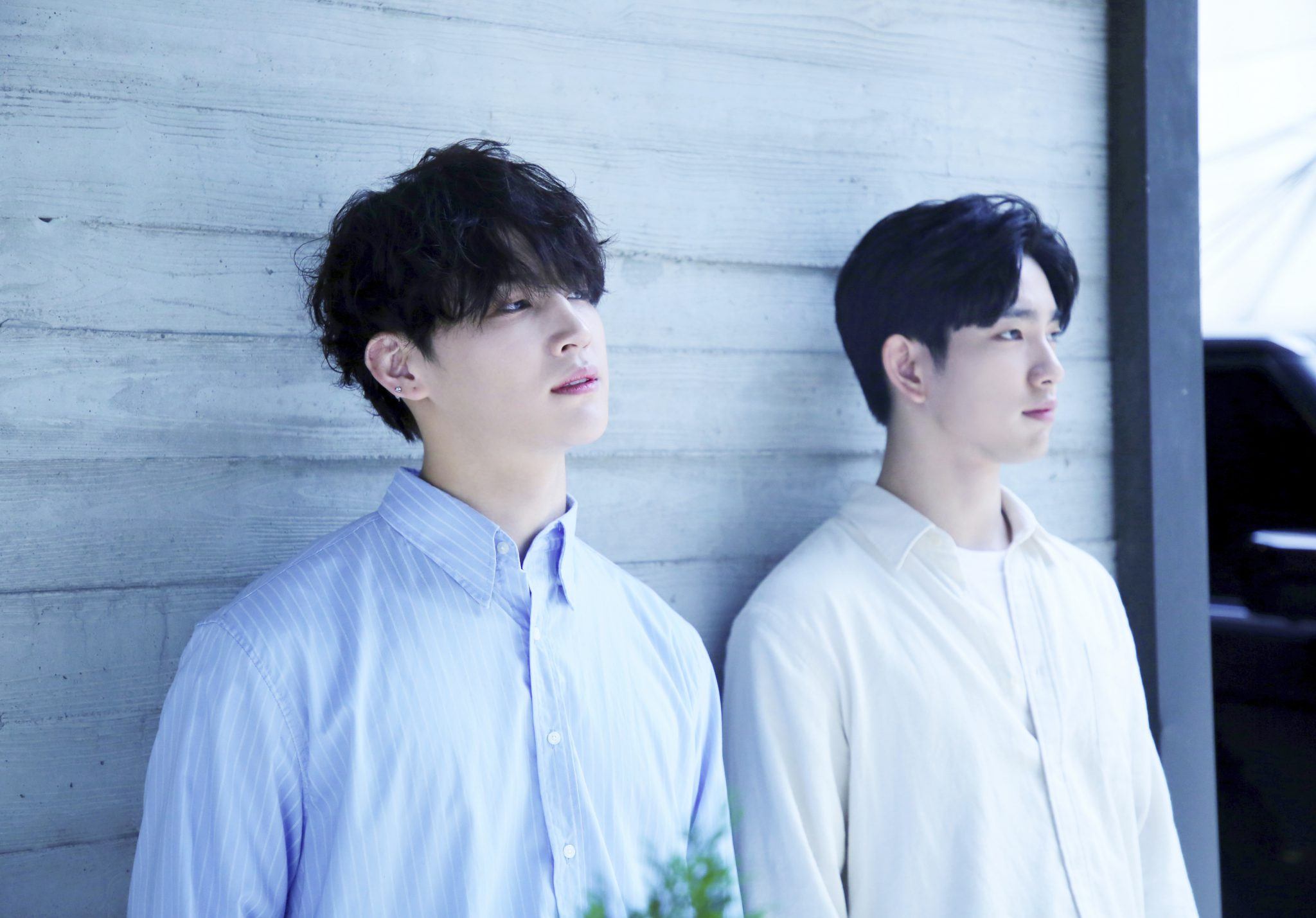 jb jj project black hair