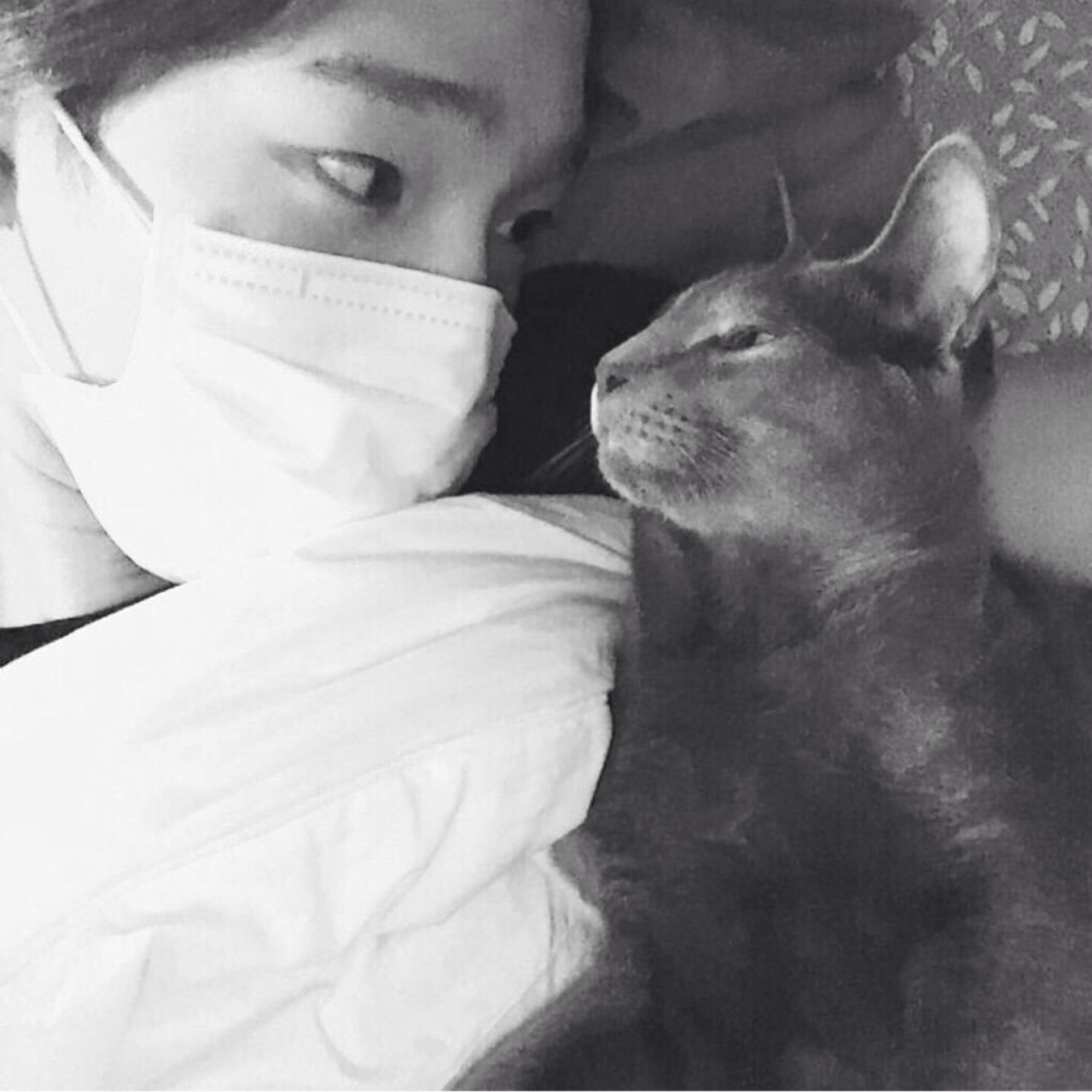 Nam Taehyun Has Lost His Cat Koreaboo