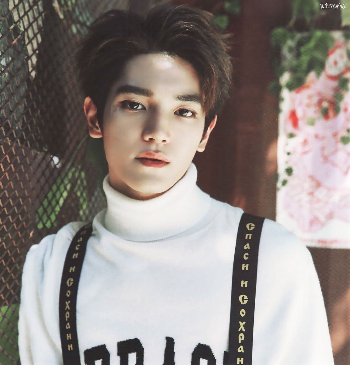 taeyong jellycat