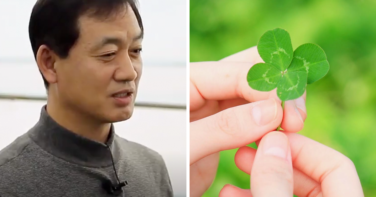 How Rare Are Four Leaved Clovers, Really?